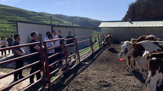 伟德国际victor·1946源自集团党委书记、董事长宋忠庆一行赴卓尼县柳林镇帮扶村调研慰问