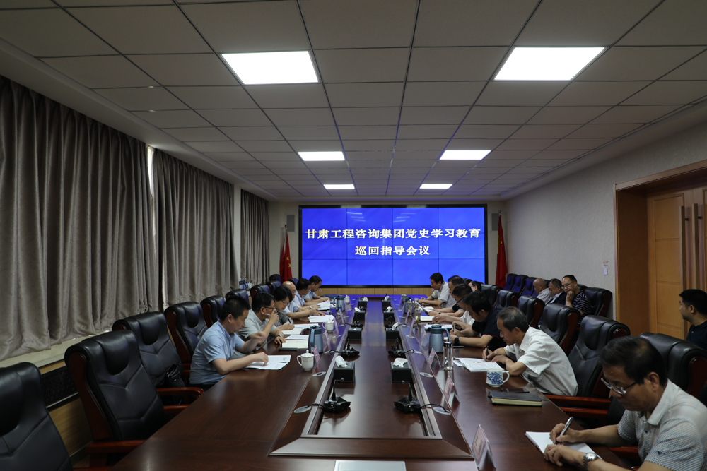 伟德国际victor·1946源自集团党史学习教育第四巡回指导组对水电设计院党史学习教育工作开展情况进行巡回指导